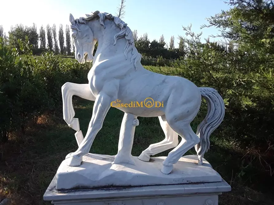 Immagine 16 di Villa in vendita  a Fauglia