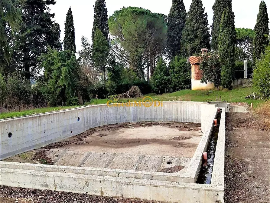 Immagine 7 di Villa in vendita  a Fauglia