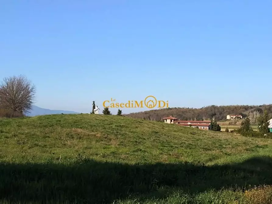 Immagine 15 di Villa in vendita  a Fauglia