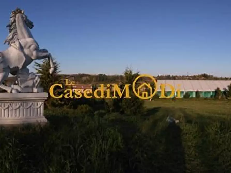 Immagine 17 di Villa in vendita  a Fauglia