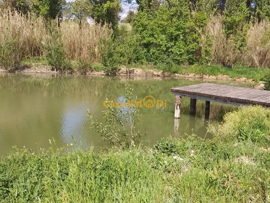 Immagine 11 di Villa in vendita  a Fauglia