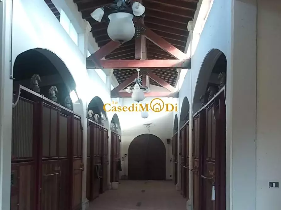 Immagine 20 di Villa in vendita  a Fauglia
