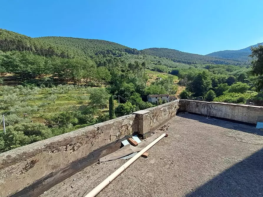 Immagine 4 di Appartamento in vendita  a Buti