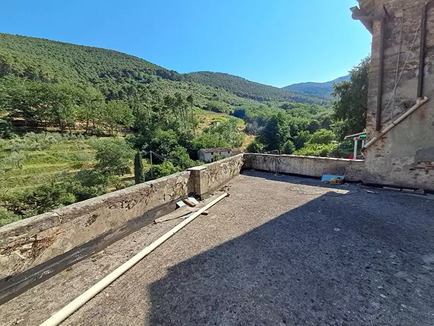 Immagine 3 di Appartamento in vendita  a Buti