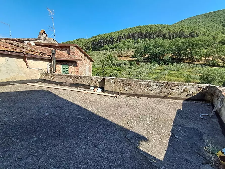Immagine 2 di Appartamento in vendita  a Buti