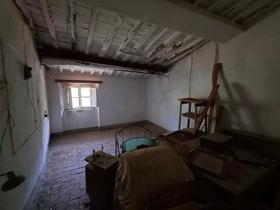 Immagine 7 di Appartamento in vendita  a Buti