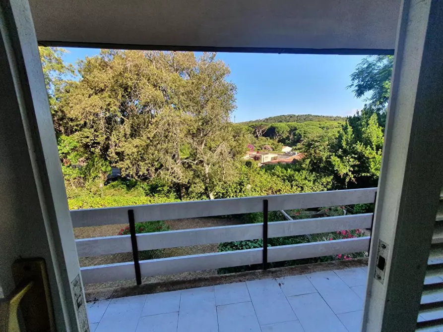 Immagine 24 di Casa bifamiliare in vendita  a Castiglione Della Pescaia