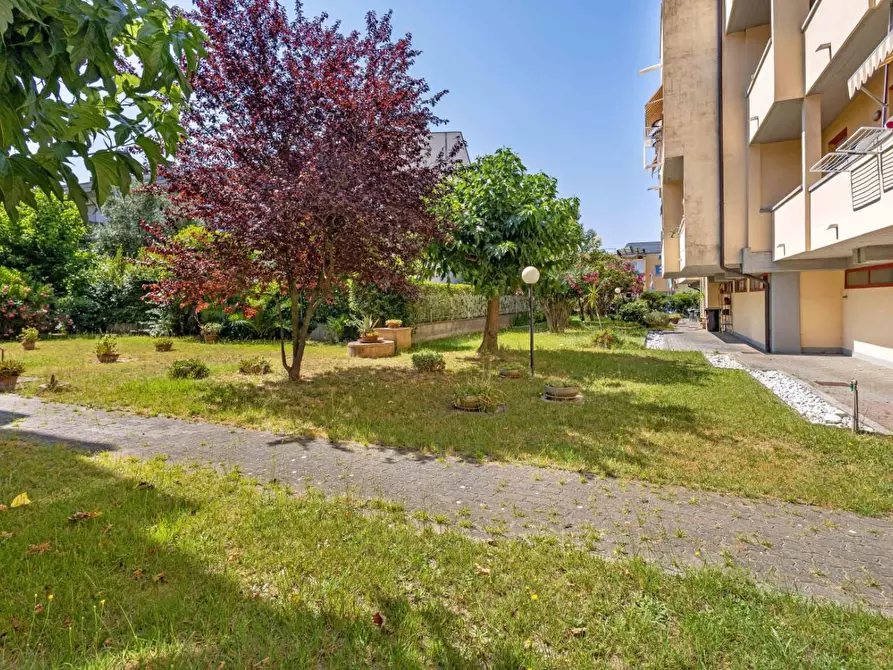 Immagine 24 di Appartamento in vendita  a Pontedera