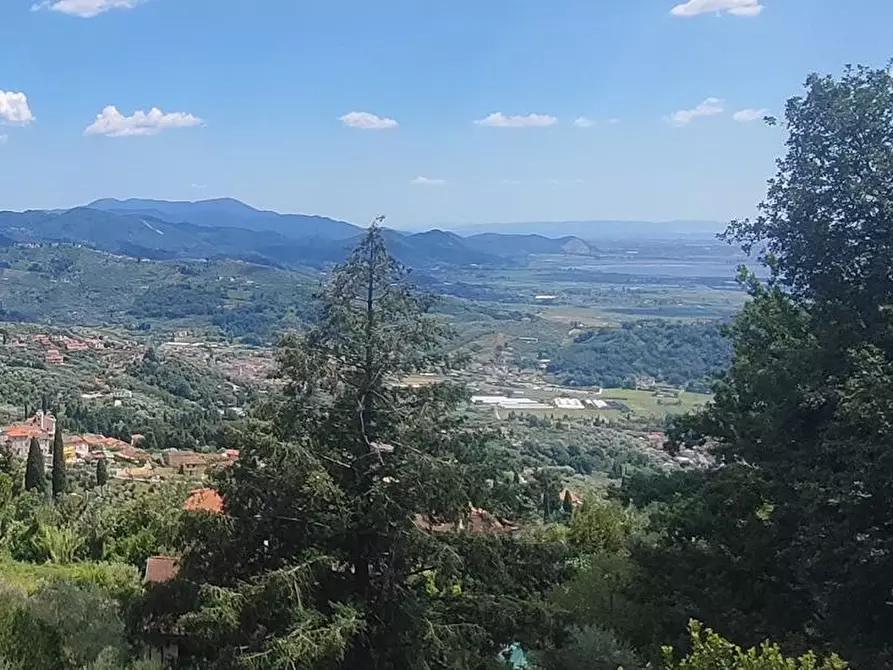 Immagine 20 di Villa in vendita  a Massarosa