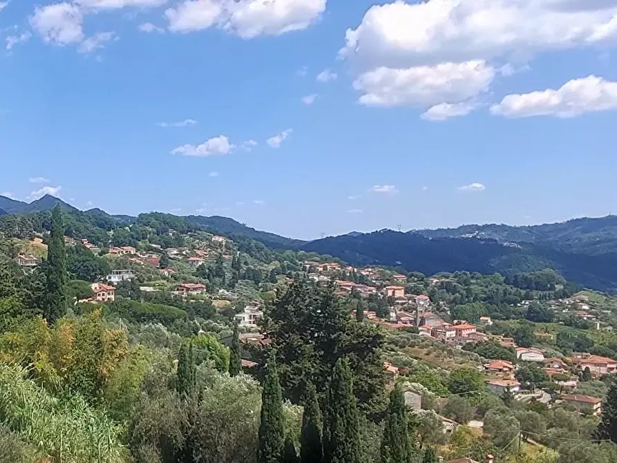Immagine 18 di Villa in vendita  a Massarosa