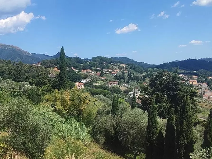 Immagine 17 di Villa in vendita  a Massarosa