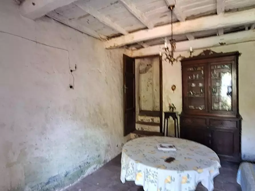 Immagine 6 di Casa colonica in vendita  a Borgo A Mozzano