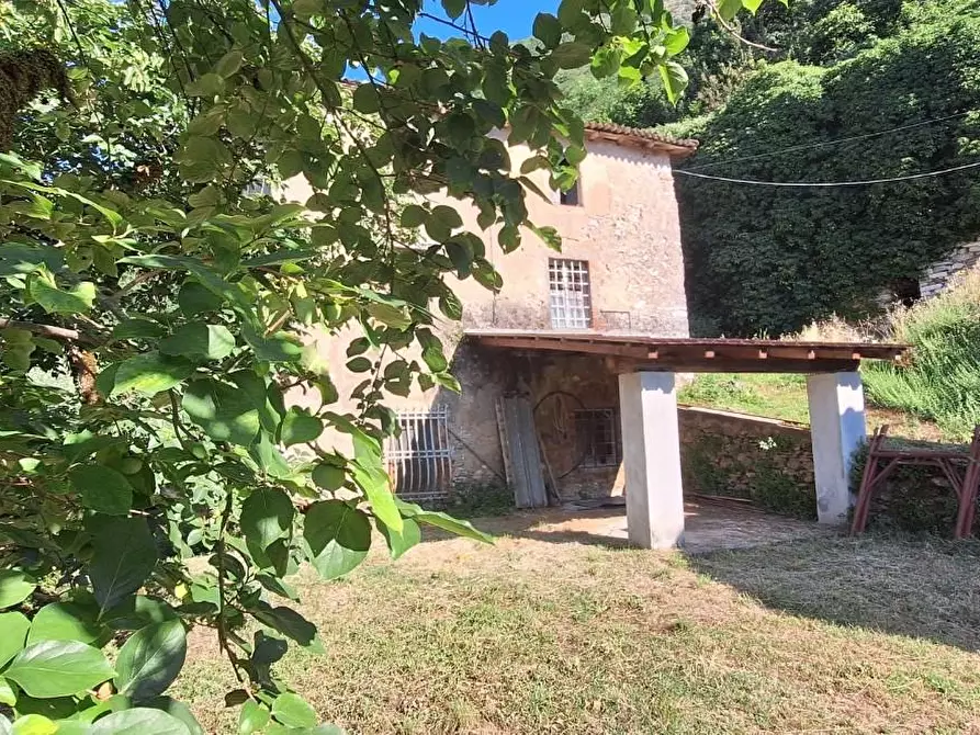 Immagine 2 di Casa colonica in vendita  a Borgo A Mozzano