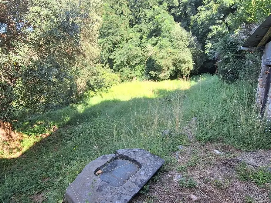 Immagine 3 di Casa colonica in vendita  a Borgo A Mozzano