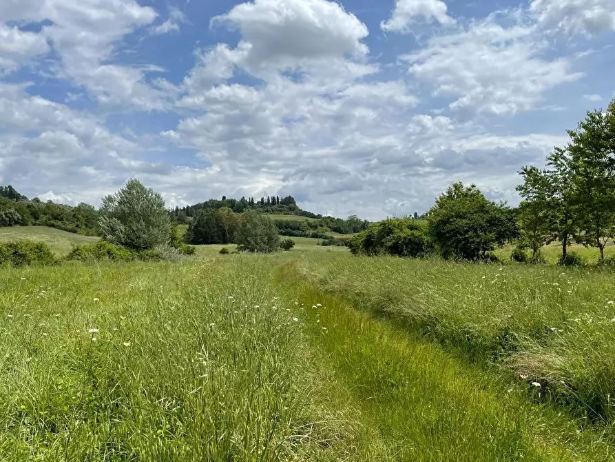 Immagine 10 di Azienda agricola in vendita  a San Miniato