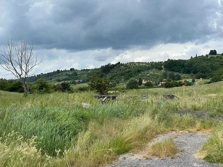Immagine 8 di Azienda agricola in vendita  a San Miniato