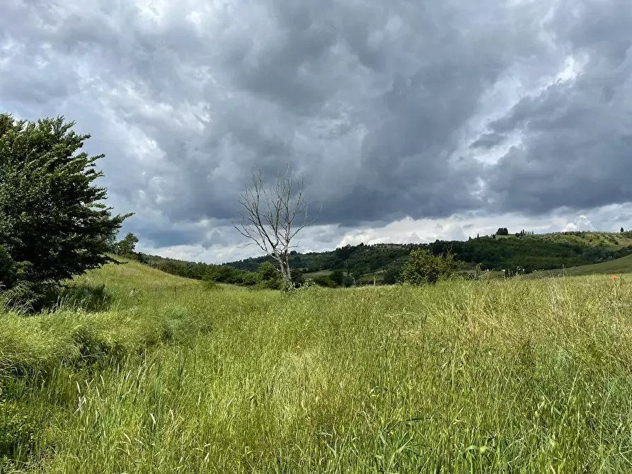 Immagine 7 di Azienda agricola in vendita  a San Miniato