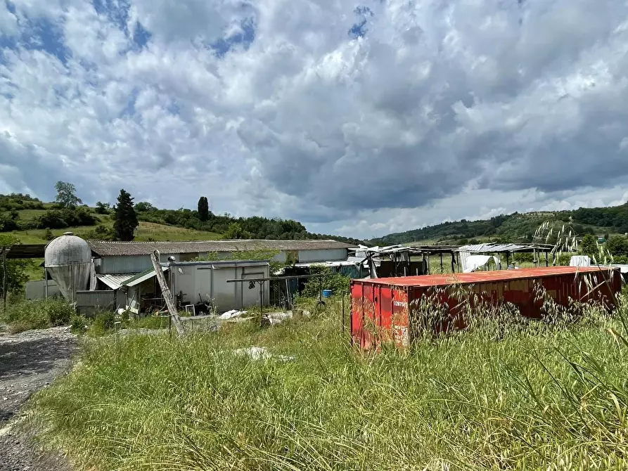 Immagine 12 di Azienda agricola in vendita  a San Miniato
