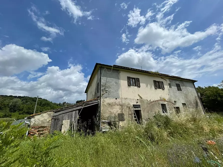 Immagine 3 di Azienda agricola in vendita  a San Miniato