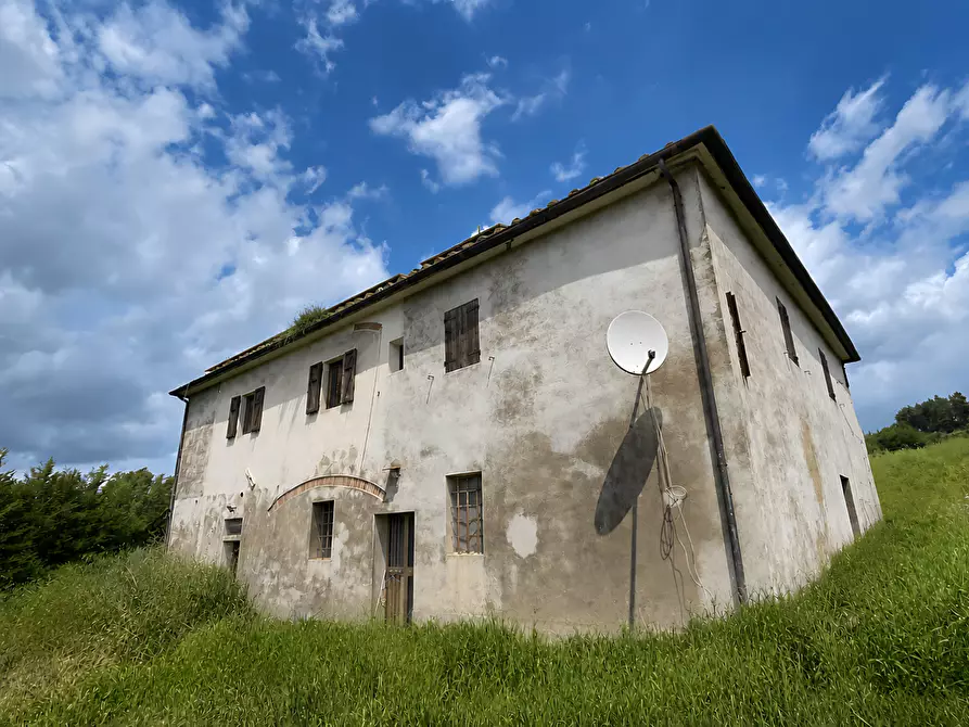Immagine 1 di Azienda agricola in vendita  a San Miniato