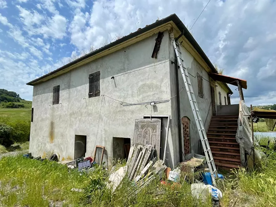 Immagine 4 di Azienda agricola in vendita  a San Miniato