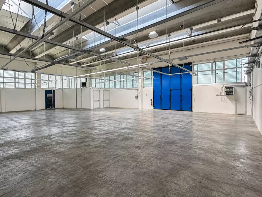Immagine 5 di Capannone industriale in vendita  a Calcinaia