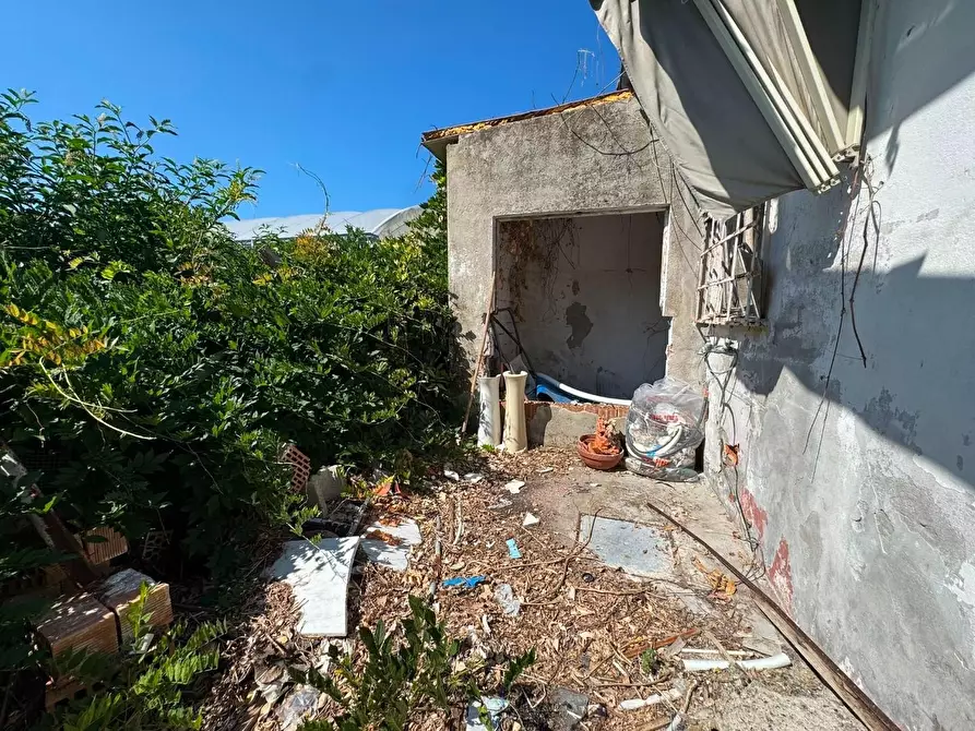 Immagine 10 di Terratetto in vendita  a Viareggio
