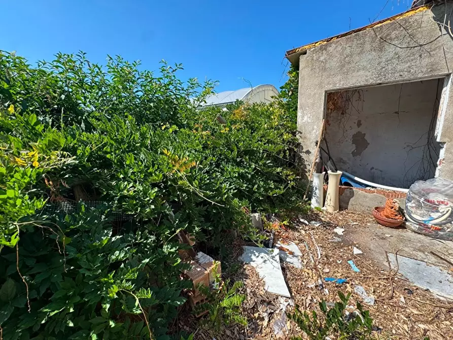 Immagine 14 di Terratetto in vendita  a Viareggio