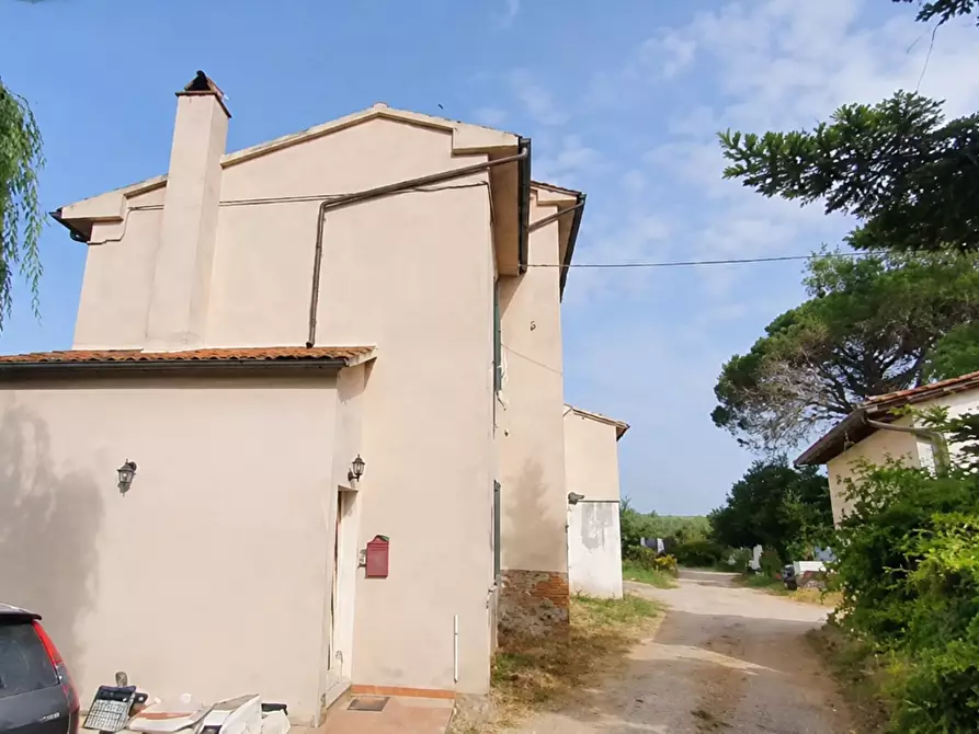 Immagine 2 di Casa colonica in vendita  a Vicopisano
