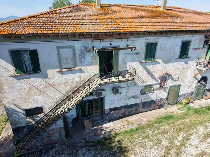 Immagine 2 di Palazzo in vendita  a Crespina Lorenzana