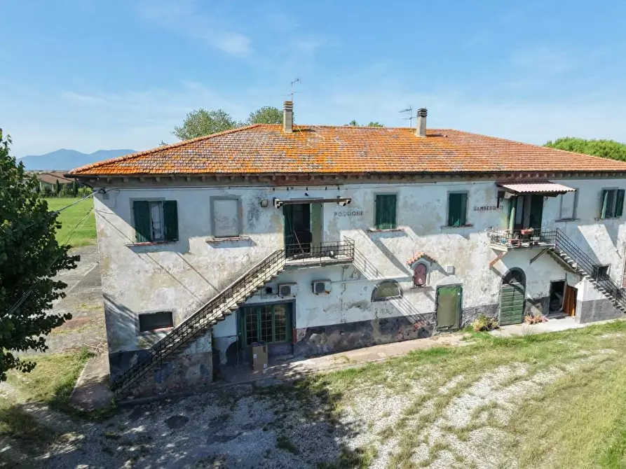 Immagine 3 di Palazzo in vendita  a Crespina Lorenzana