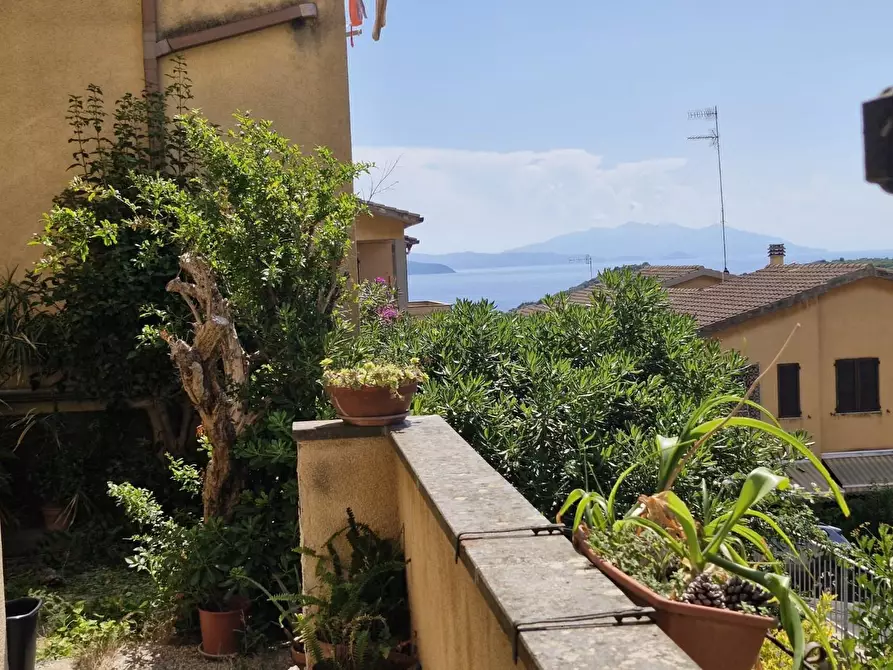 Immagine 3 di Appartamento in vendita  a Piombino