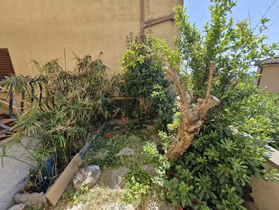 Immagine 2 di Appartamento in vendita  a Piombino