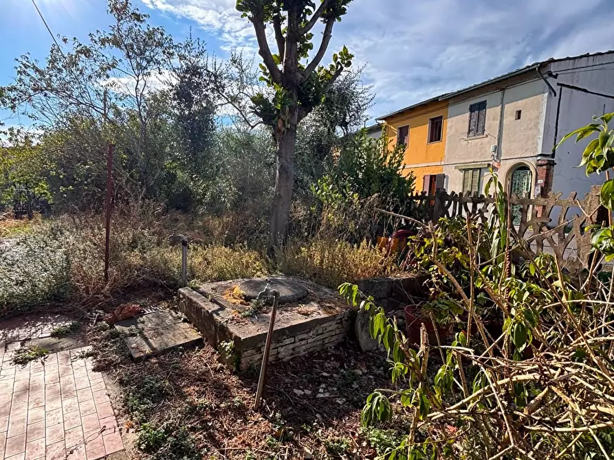 Immagine 12 di Terratetto in vendita  a San Miniato