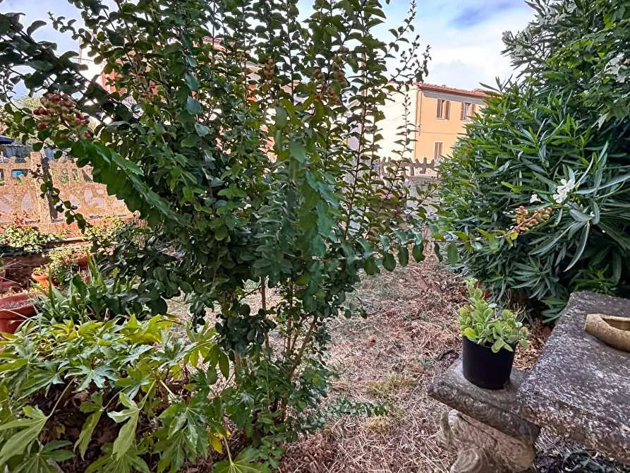 Immagine 15 di Terratetto in vendita  a San Miniato