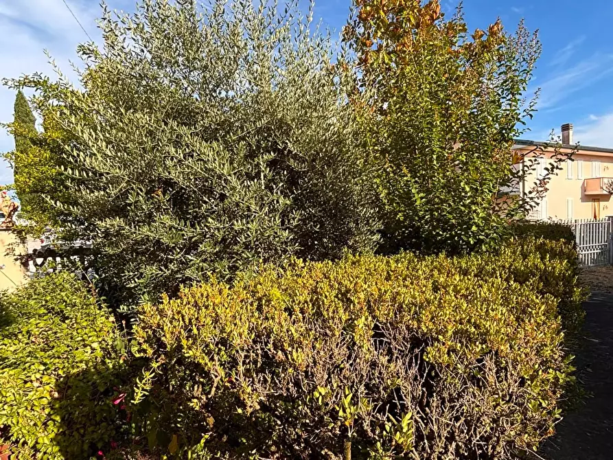Immagine 14 di Terratetto in vendita  a San Miniato