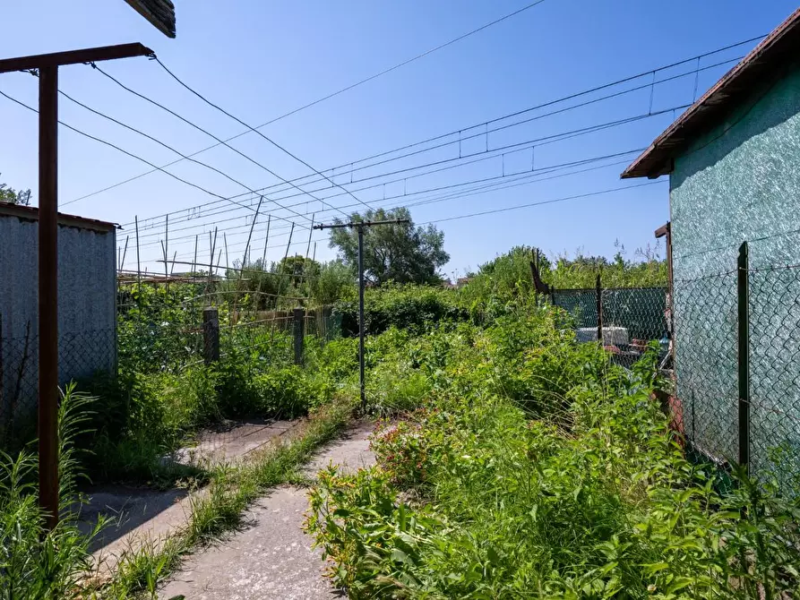 Immagine 35 di Terratetto in vendita  a Pisa