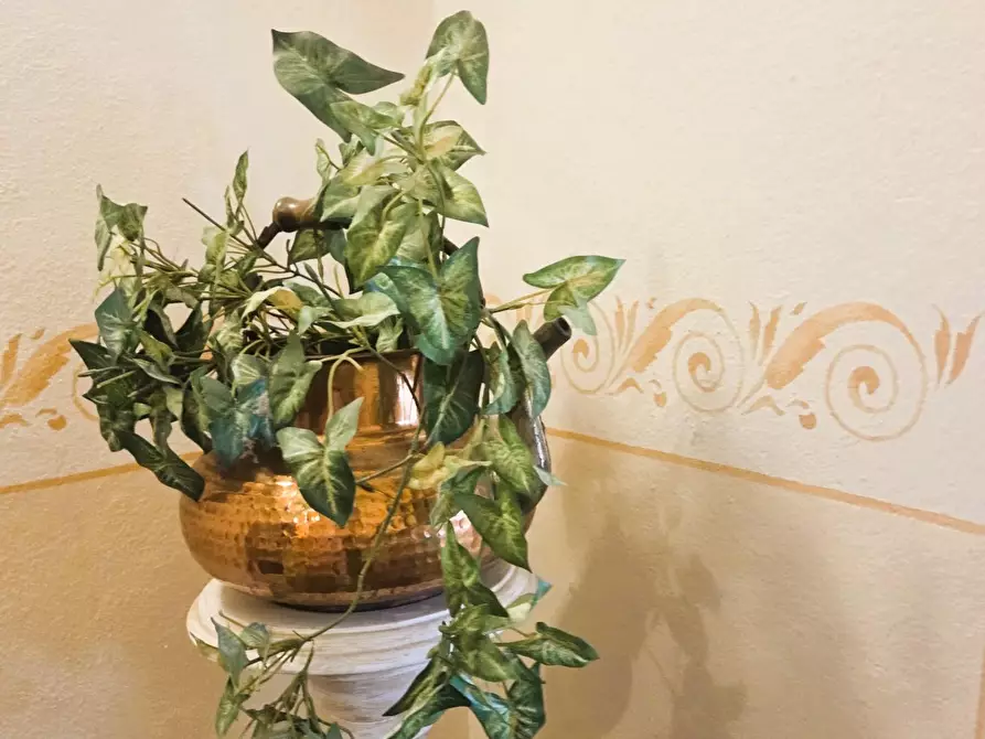 Immagine 26 di Villa in vendita  a Capannori