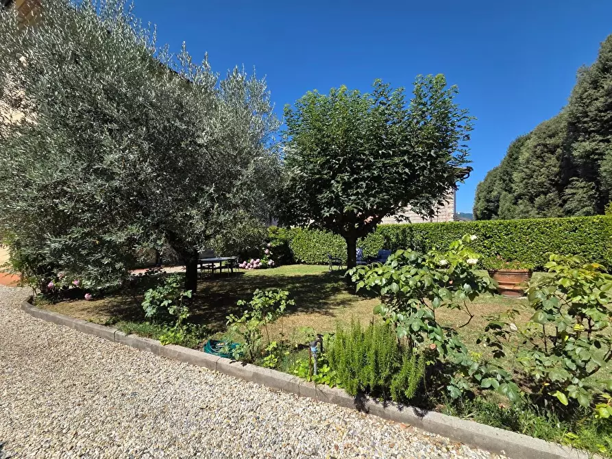 Immagine 59 di Villa in vendita  a Capannori