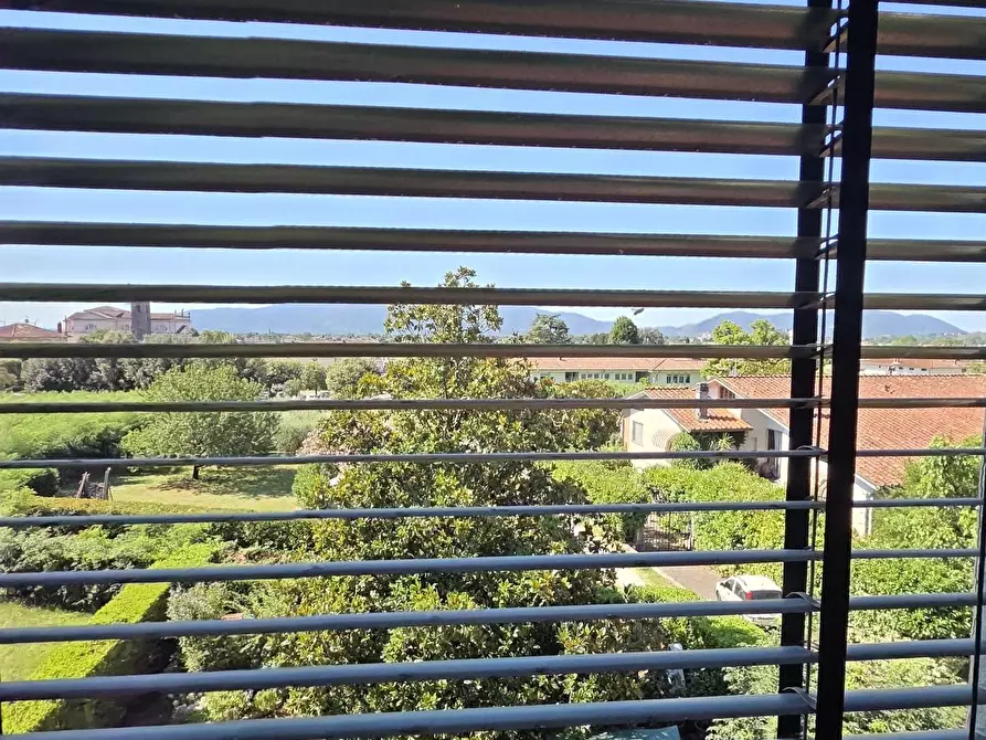 Immagine 47 di Villa in vendita  a Capannori