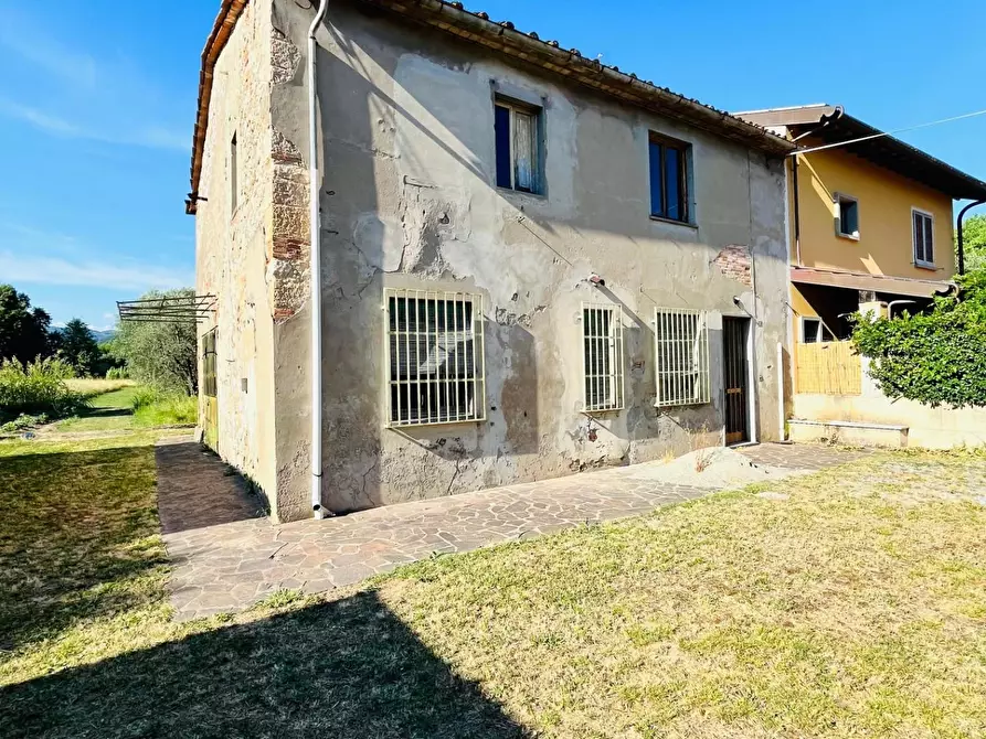 Immagine 4 di Terratetto in vendita  a Pieve A Nievole