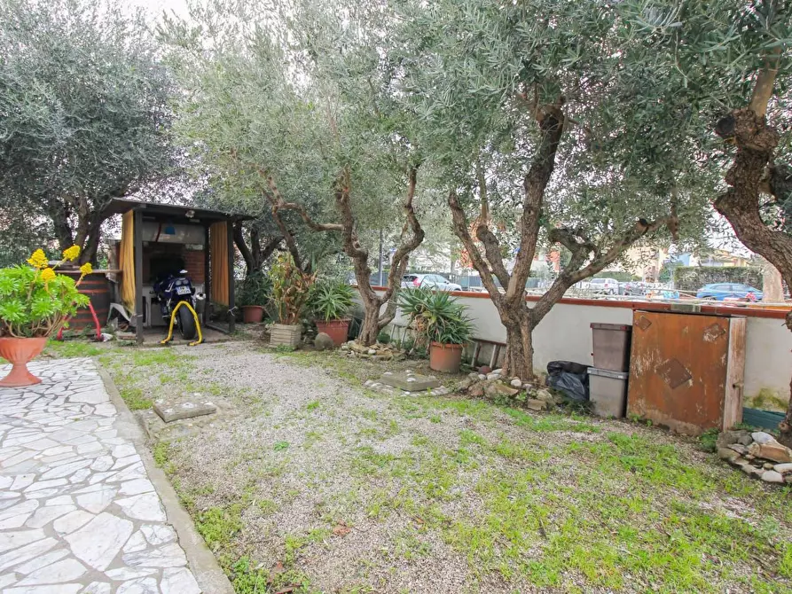Immagine 1 di Appartamento in vendita  a Vicopisano