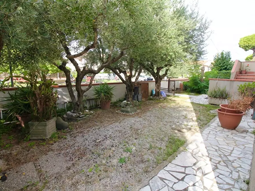 Immagine 42 di Appartamento in vendita  a Vicopisano