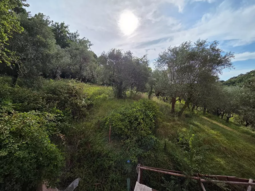 Immagine 19 di Villa in vendita  a Lucca