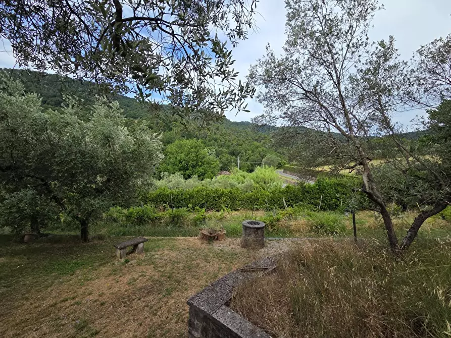 Immagine 44 di Villa in vendita  a Lucca