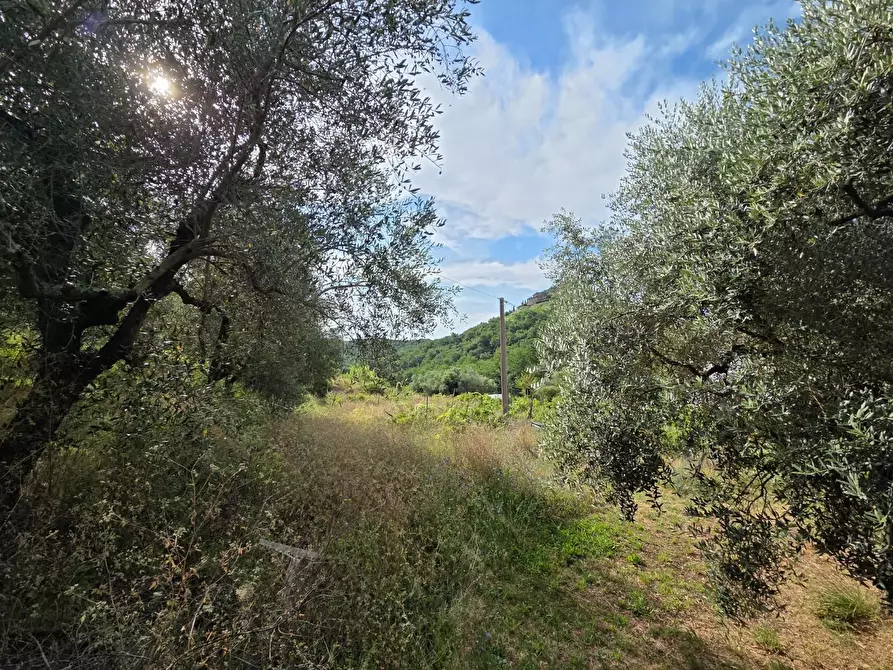 Immagine 11 di Villa in vendita  a Lucca