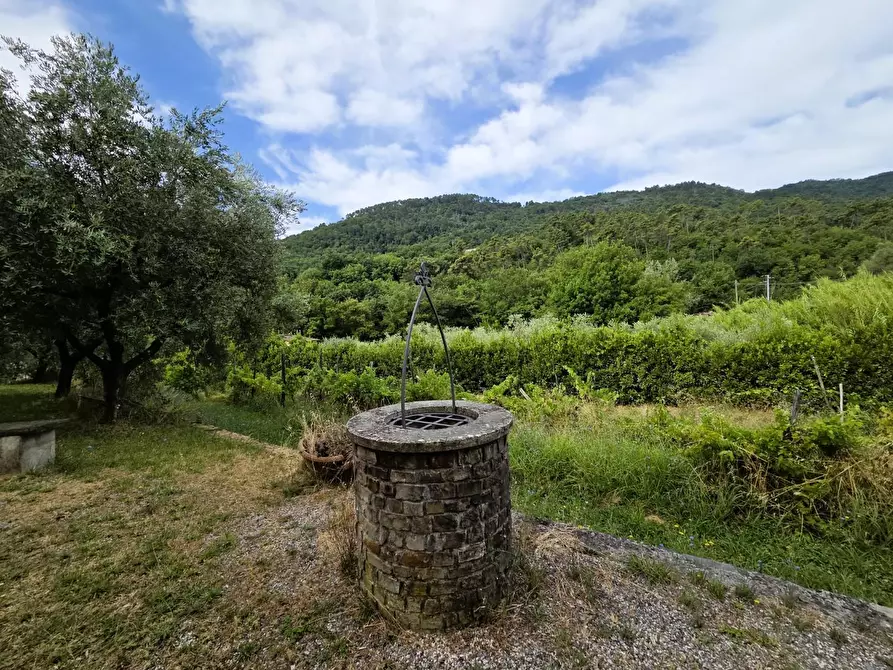 Immagine 48 di Villa in vendita  a Lucca