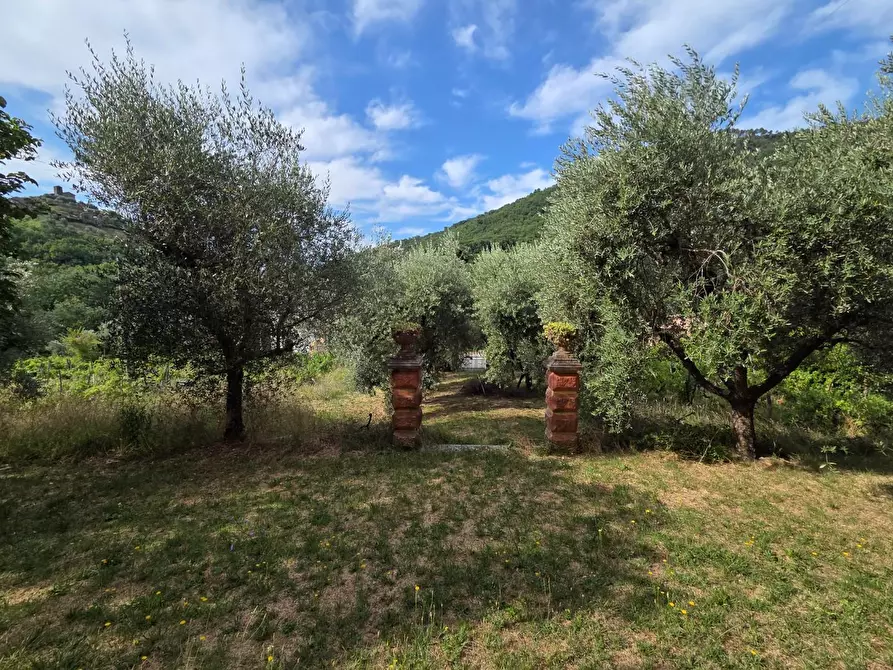 Immagine 9 di Villa in vendita  a Lucca