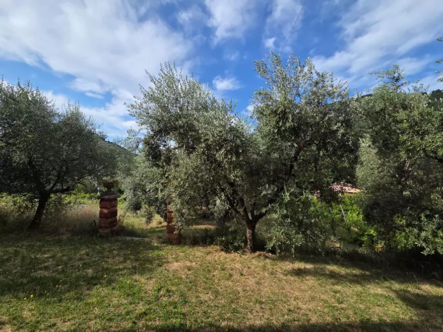 Immagine 5 di Villa in vendita  a Lucca