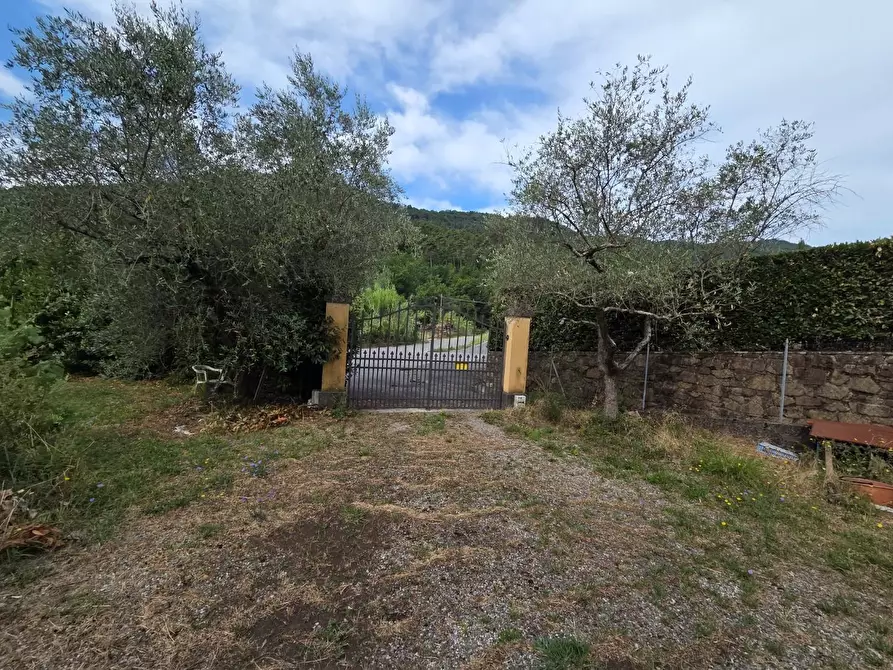 Immagine 50 di Villa in vendita  a Lucca